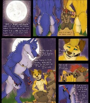 The Full Moon Tribute 002