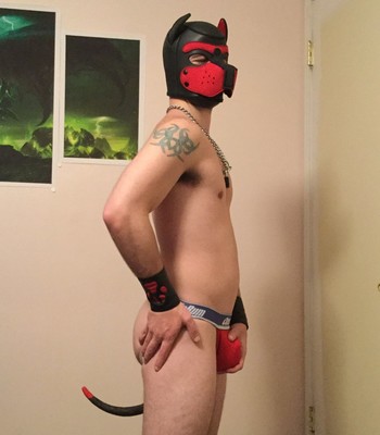 Gay Furry Hypno Porn (And Other Stuff Like Latex, Transformation, S&M, Etc) 623