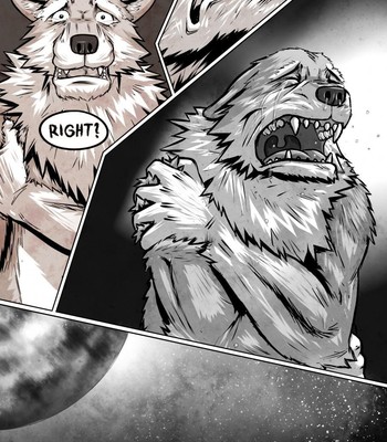 INU 017