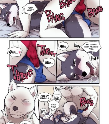 Elephant Night 011