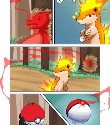 Quilava's Evolution Journey 010