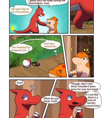 Quilava's Evolution Journey 052