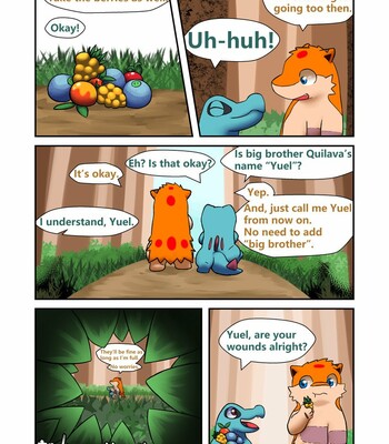 Quilava's Evolution Journey 091