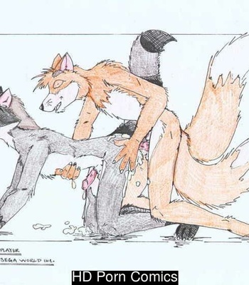 Sonic Yaoi 091