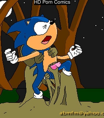 Sonic Yaoi 178