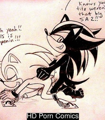 Sonic Yaoi 308