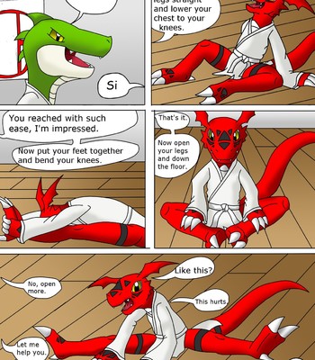 Guilmon Training Karate (Pratica Karate) 007