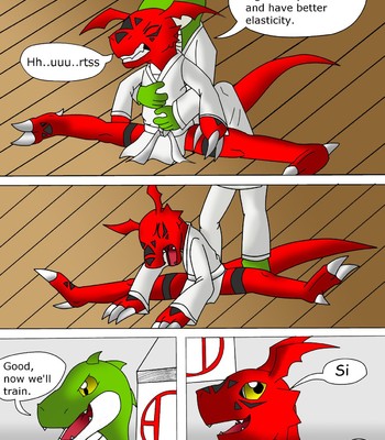 Guilmon Training Karate (Pratica Karate) 008