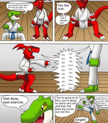 Guilmon Training Karate (Pratica Karate) 009