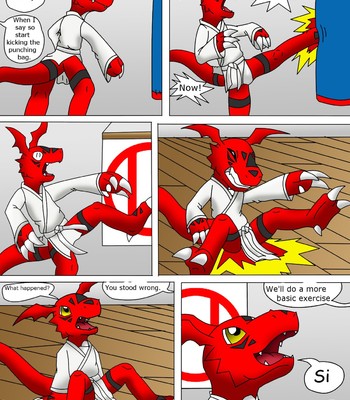 Guilmon Training Karate (Pratica Karate) 010