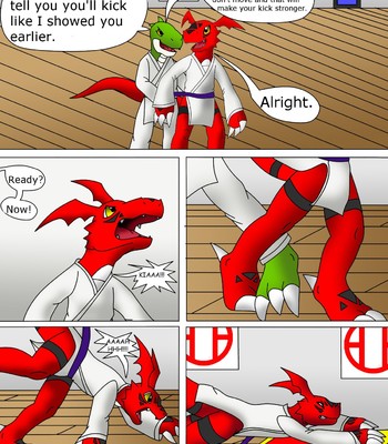 Guilmon Training Karate (Pratica Karate) 011