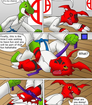Guilmon Training Karate (Pratica Karate) 012