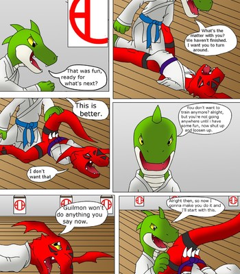 Guilmon Training Karate (Pratica Karate) 016