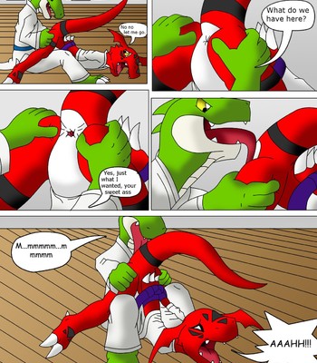 Guilmon Training Karate (Pratica Karate) 017