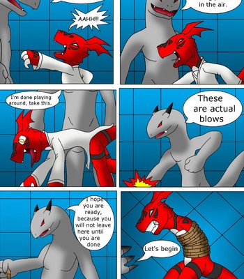 Guilmon Training Karate (Pratica Karate) 032