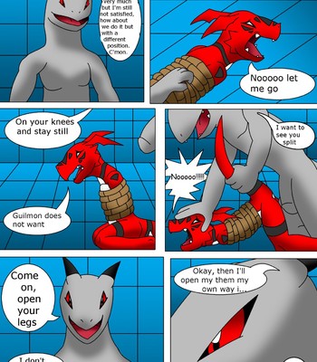 Guilmon Training Karate (Pratica Karate) 037