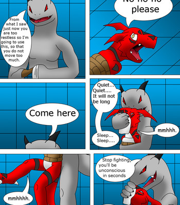 Guilmon Training Karate (Pratica Karate) 042