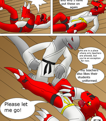 Guilmon Training Karate (Pratica Karate) 056