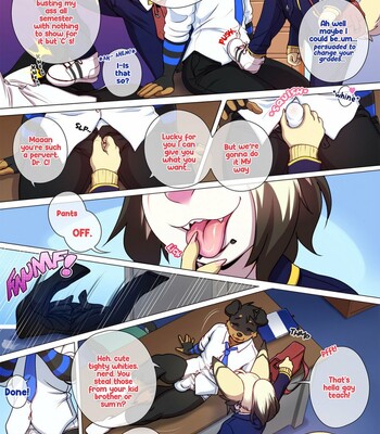 Pet's Teacher