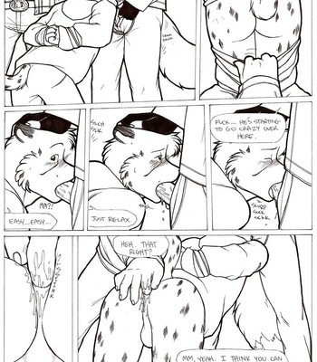 Rough Rider [Meesh] 010