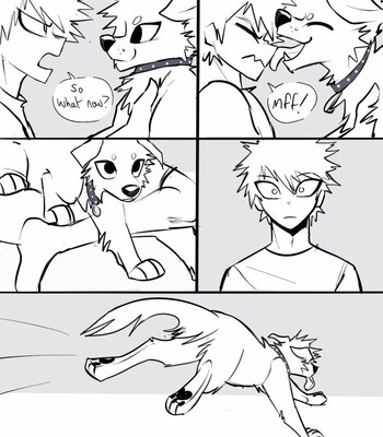 Puppy Kacchan by Lila 112