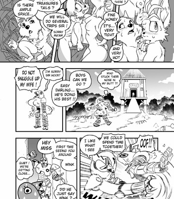 For Fox Sake 003