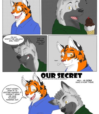 our secret (color)