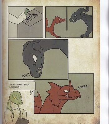 Dragons hoard Volume 3 041