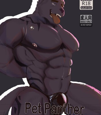 Pet Panther