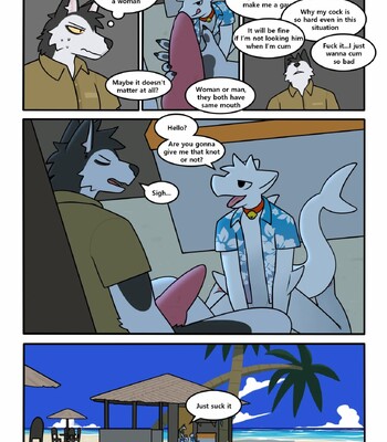 Cocoshark 2 006