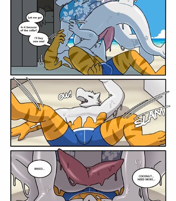 Cocoshark 2 041