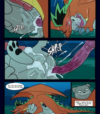 Dragon Lessons: Omnibus 025