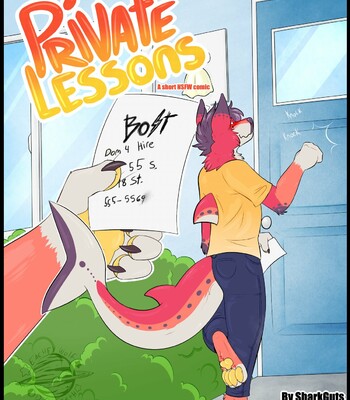 Private Lessons