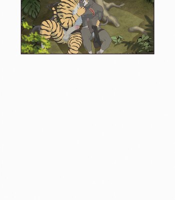 Black & Yellow - Jungle 006