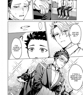 Yumemiru Choukyoushi no Risou no Goshujin-sama | The Dreaming Trainer's Ideal Master 049