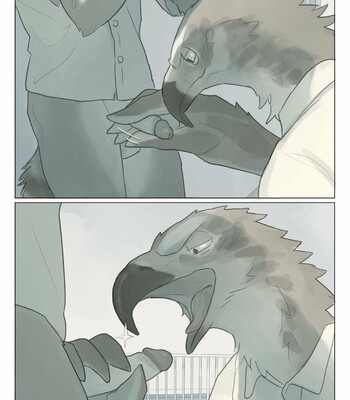 [x6udpngx] Wolf and Eagle 009