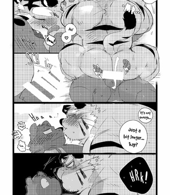 The Book With The Dead-Drunk Old Kansai Tiger 031