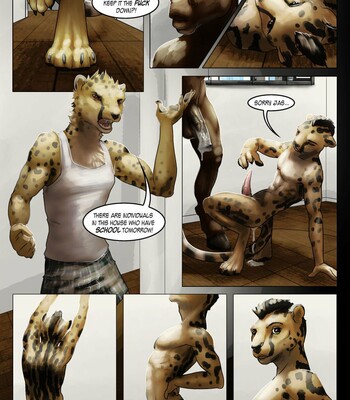 Introducing Jasper 004