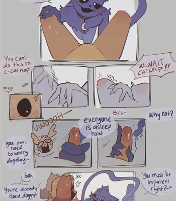 a good night: catnap It is dogday 002
