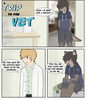 A trip to the vet