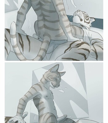 [x6udpngx] Stripes 015