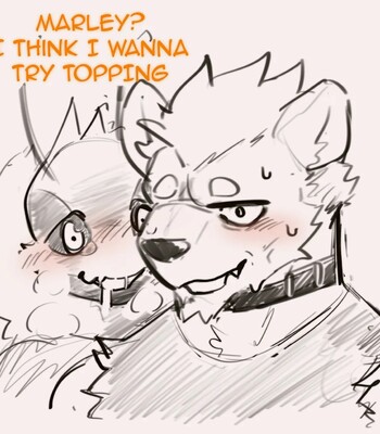 King B & Marmalade 101