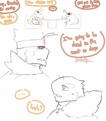 King B & Marmalade 125