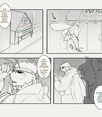 King B & Marmalade 219