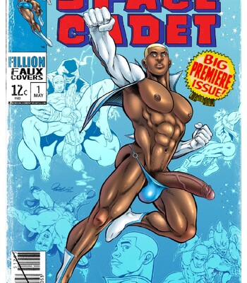 Fillion Faux Covers 034