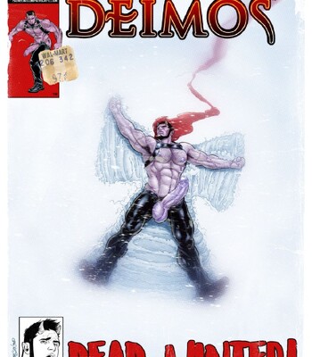 Fillion Faux Covers 054