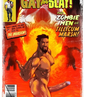 Fillion Faux Covers 068