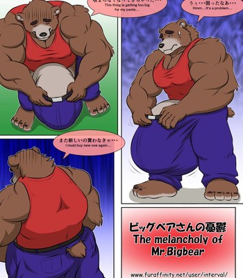 The Melancholy of Mr. Bigbear