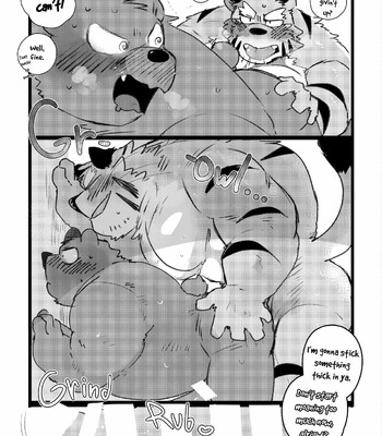 a book about getting lovey dovey with an old tiger with kansai accent in a public bathouse 017