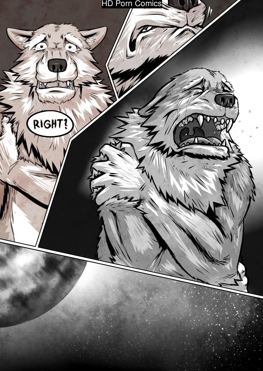 INU 017